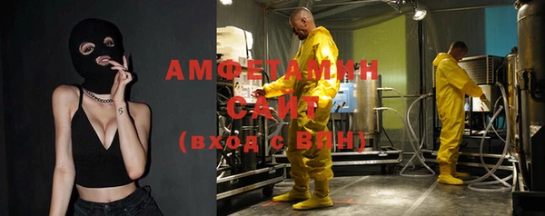 индика Волоколамск