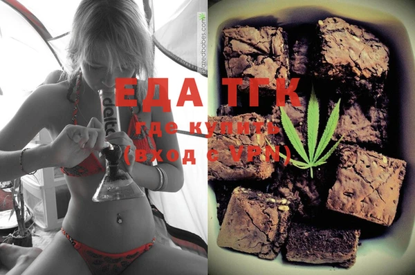 индика Волоколамск
