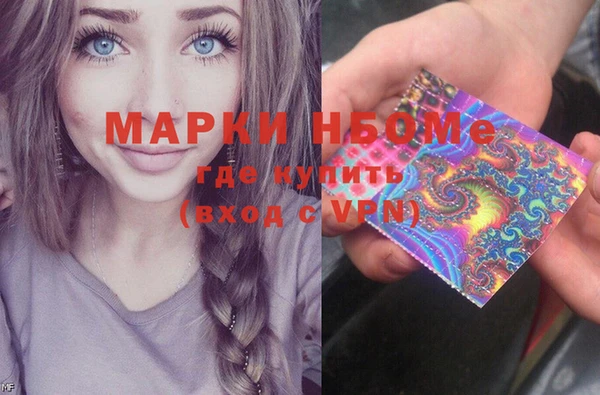 индика Волоколамск