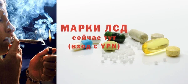 индика Волоколамск