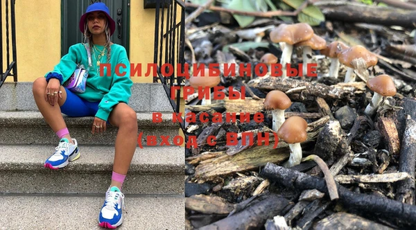 индика Волоколамск