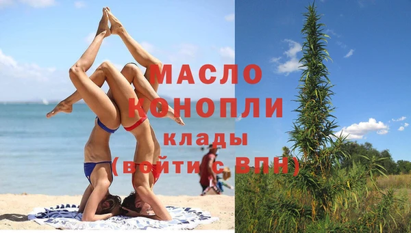 индика Волоколамск