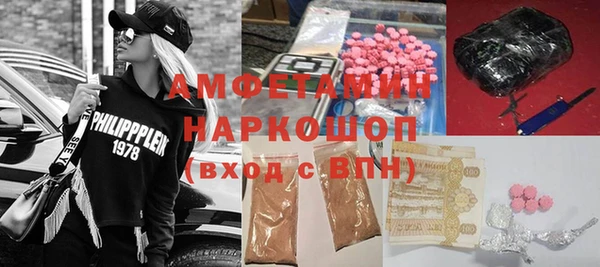 индика Волоколамск