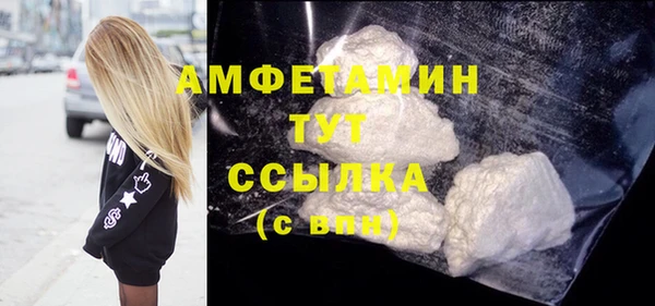 индика Волоколамск