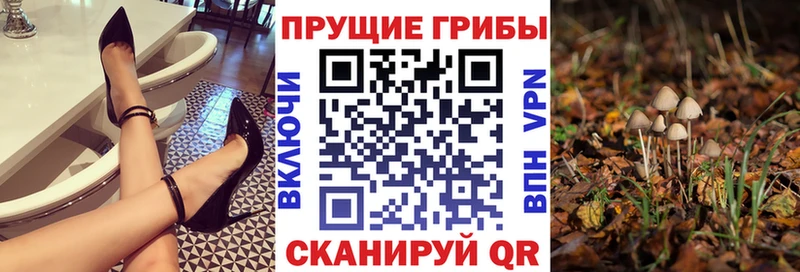 что такое наркотик  Магас  kraken зеркало  Галлюциногенные грибы Magic Shrooms 